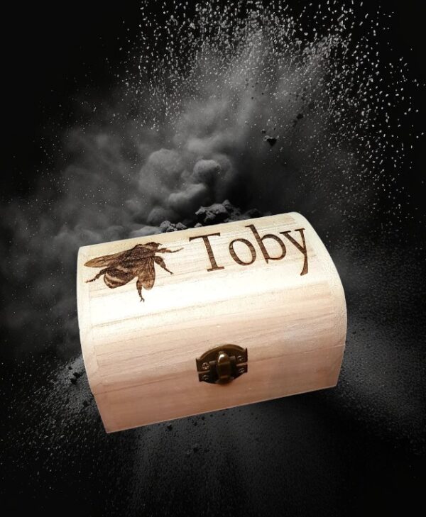 Personalised "Bumble Bee" Design Wooden Chest Box