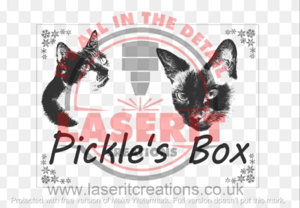 Personalised  “Cat” Design Wooden Box with 6 Separate Compartments