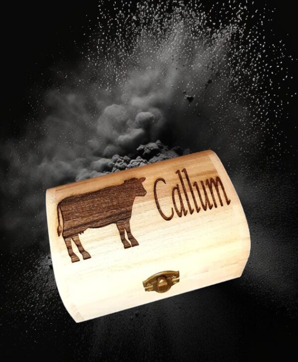 Personalised  Wooden Box with your choice of Design and or Name - Image 2